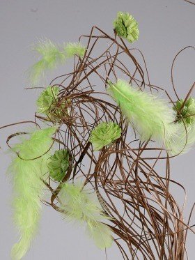 Bukiet do wazonu kręcone trawy, kwiaty sola, pióra  zielony ok 40-50 cm